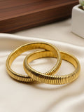 Ishhaara Dual Coil Bracelet