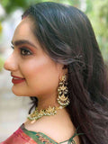 Ishhaara Half Moon Kundan Choker
