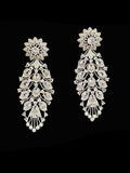 Ishhaara Esctasy Drip Earring