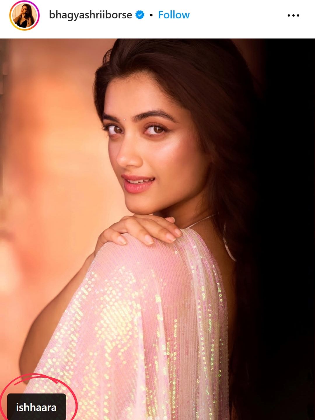 Embellish Long Earrings Rose Gold