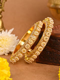 Ishhaara Gokru Kadha Designer Bangle