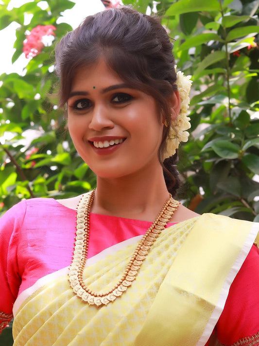 Ishhaara Kasulaperu Long Haram Set