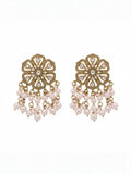 Ishhaara Meenakari Pearls Drop Earring